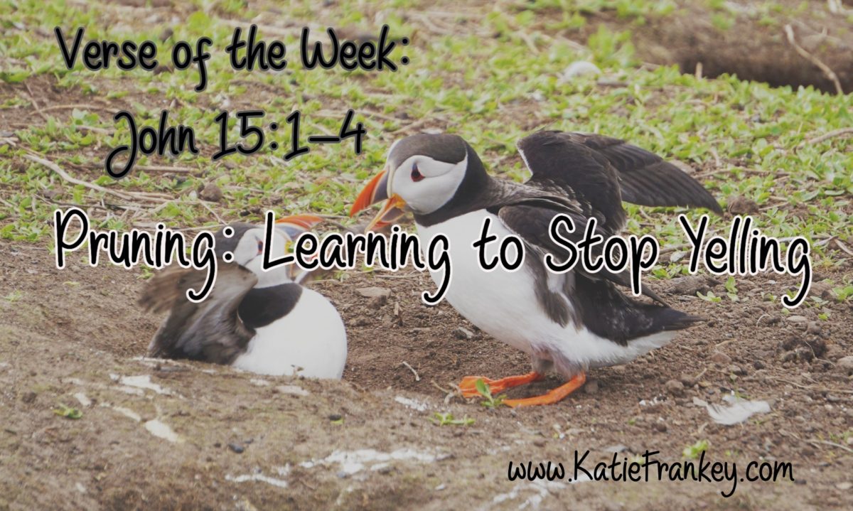 Verse of the Week: Pruning- Learning to Stop Yelling